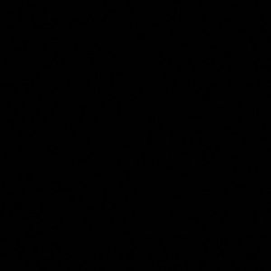 Meet your Posher, Shantavia